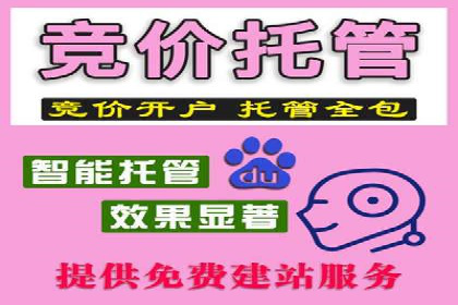 竞价广告策略：网络推广在旅游行业的运用案例